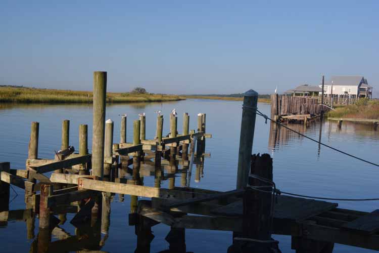 delapidated dock